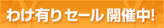 わけ有りセール1（大、3カラム用）