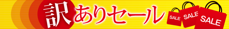 訳ありセール2（大、2カラム用）