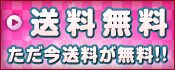 送料無料3