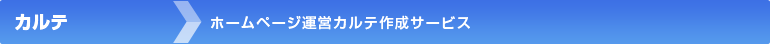 ホームページ運営カルテ作成依頼